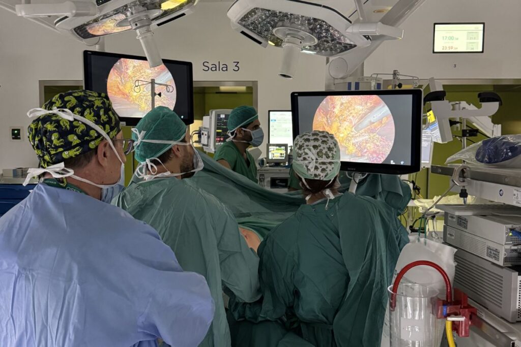 ricerca chirurgia addominale mininvasiva Prof. Domenico D'Ugo